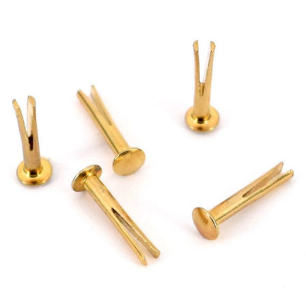 ZNE-3-19-go-8-TV-448-Spaltniete-Zweispitzniet-Sattelniet-19mm-messing-gold-Hersteller-shop-kaufen Zweispitzniet 6 x 19 mm | Ø 3,0 mm | vermessingt