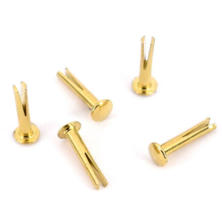 ZNE-3-16-go-8-TV-448-Spaltniet-Zweispitzniet-Sattelniet-16mm-messing-gold-Hersteller-shop-kaufen Zweispitzniet 6 x 16 mm | Ø 3,0 mm | vermessingt